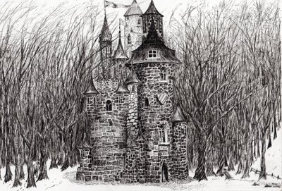 Il Castello nella foresta di Findhorn da Vincent Alexander Booth